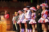 Narrenabende 2012/13